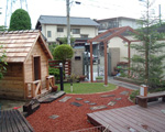 GNXeA摜